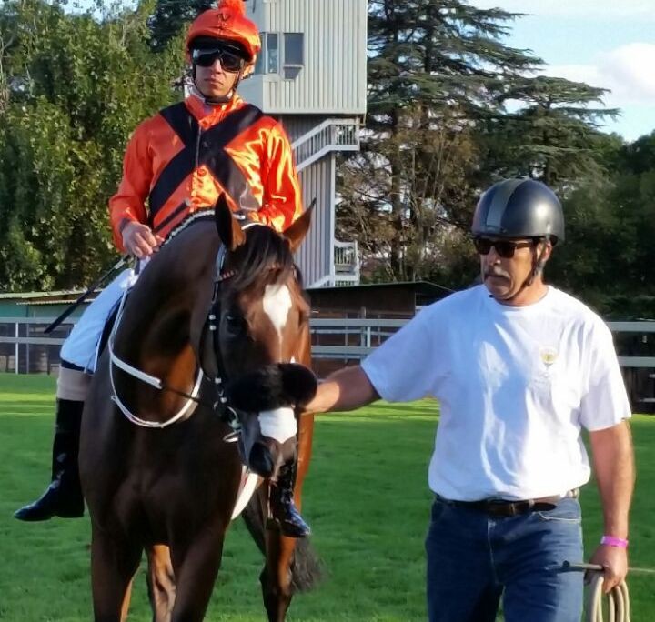 Abashri with Malan du Toit at the start of the SA Derby.